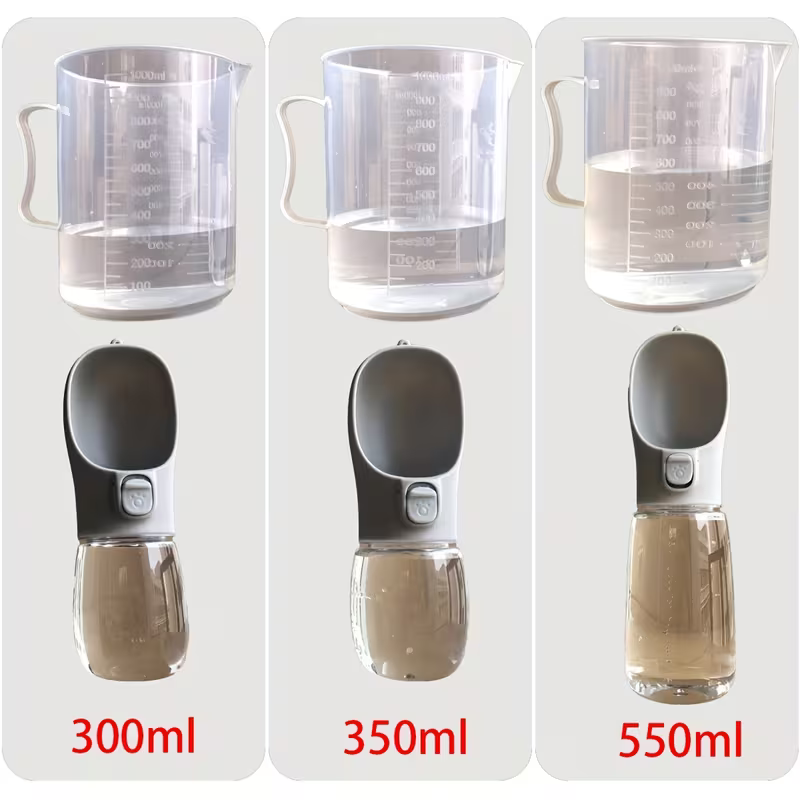 Portable water bottle