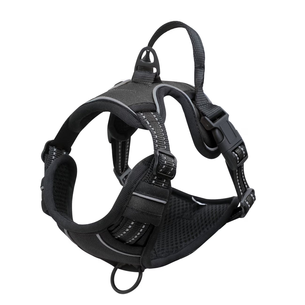 Dog Harness