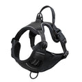 Dog Harness