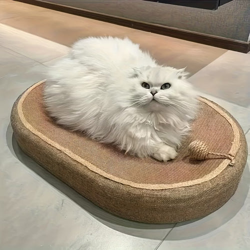 Cat Scratching Board