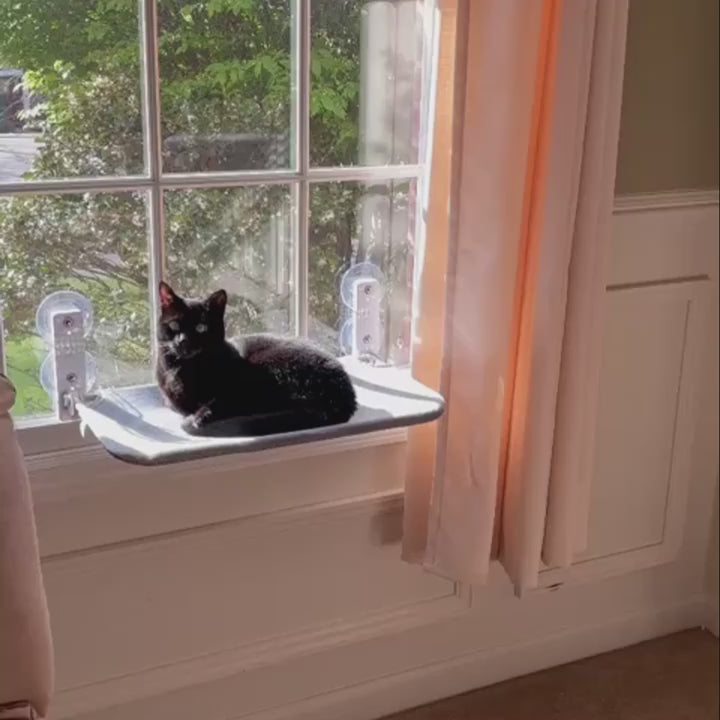 Window Hammock