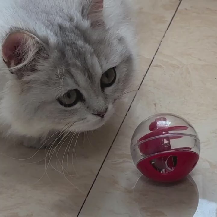 Interactive Toy for Pet