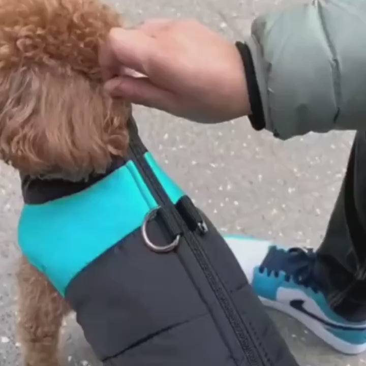 Dog Winter Jacket