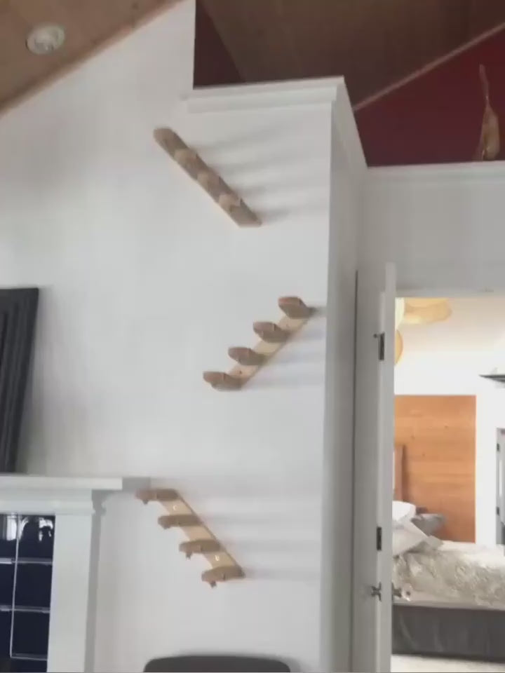 Cat Wall Climbing Shelves