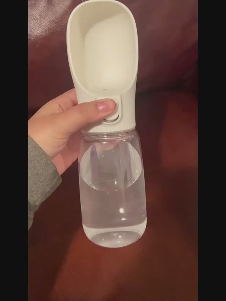 Portable water bottle