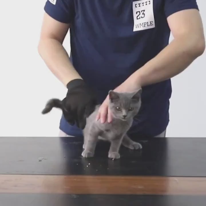 Pet Grooming Gloves 1pc