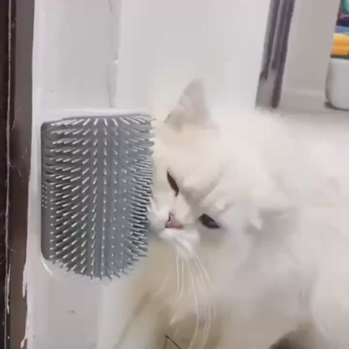 Grooming Brush