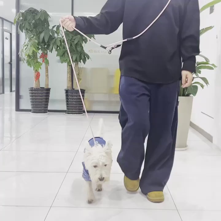 Hands-Free Dog Leash